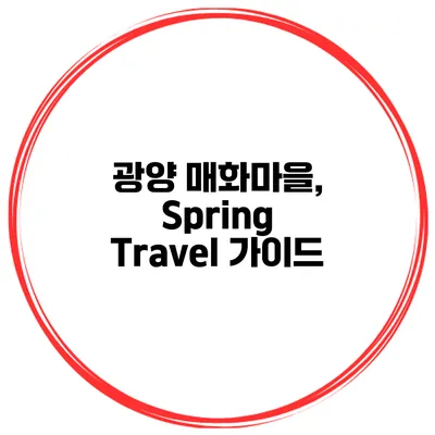 광양 매화마을, Spring Travel 가이드