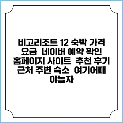 비고리조트 12 숙박 가격 요금 | 네이버 예약 확인 홈페이지 사이트 | 추천 후기 | 근처 주변 숙소 | 여기어때 야놀자