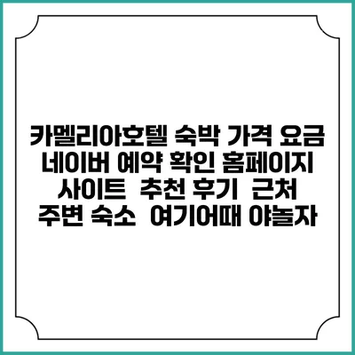카멜리아호텔 숙박 가격 요금 | 네이버 예약 확인 홈페이지 사이트 | 추천 후기 | 근처 주변 숙소 | 여기어때 야놀자
