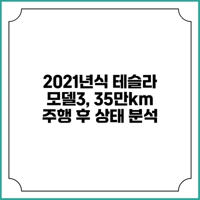 2021년식 테슬라 모델3, 35만km 주행 후 상태 분석