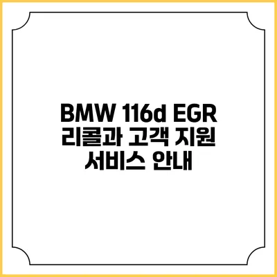 BMW 116d EGR 리콜과 고객 지원 서비스 안내