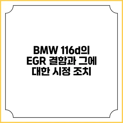 BMW 116d의 EGR 결함과 그에 대한 시정 조치