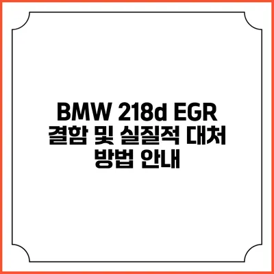 BMW 218d EGR 결함 및 실질적 대처 방법 안내