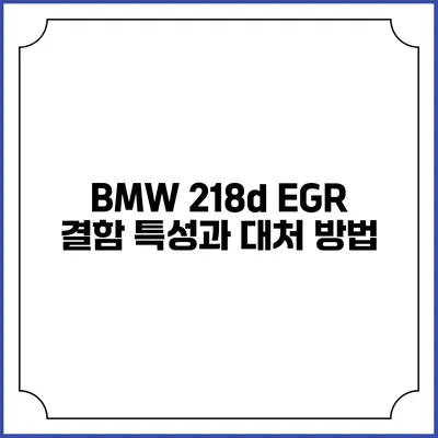 BMW 218d EGR 결함: 특성과 대처 방법