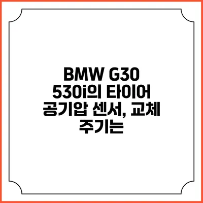 BMW G30 530i의 타이어 공기압 센서, 교체 주기는?