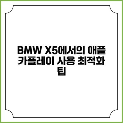 BMW X5에서의 애플 카플레이 사용 최적화 팁