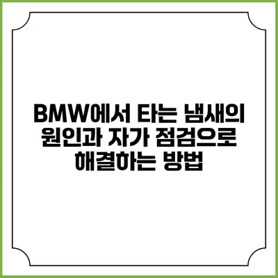 BMW에서 타는 냄새의 원인과 자가 점검으로 해결하는 방법