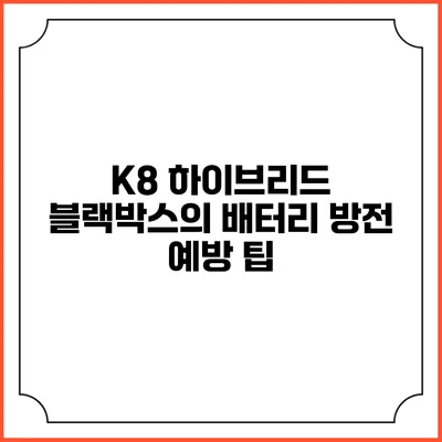 K8 하이브리드 블랙박스의 배터리 방전 예방 팁
