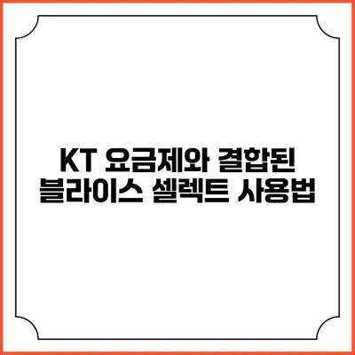KT 요금제와 결합된 블라이스 셀렉트 사용법