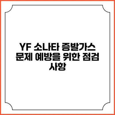 YF 소나타 증발가스 문제 예방을 위한 점검 사항