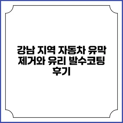 강남 지역 자동차 유막 제거와 유리 발수코팅 후기