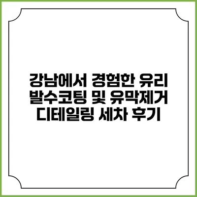 강남에서 경험한 유리 발수코팅 및 유막제거 디테일링 세차 후기