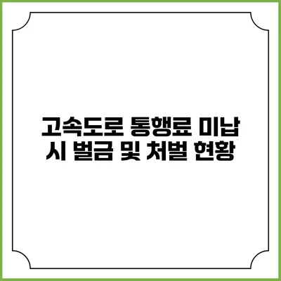 고속도로 통행료 미납 시 벌금 및 처벌 현황