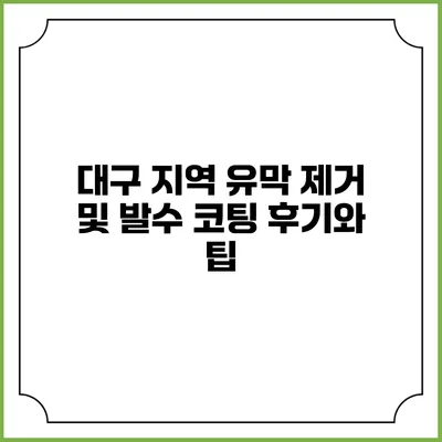 대구 지역 유막 제거 및 발수 코팅 후기와 팁