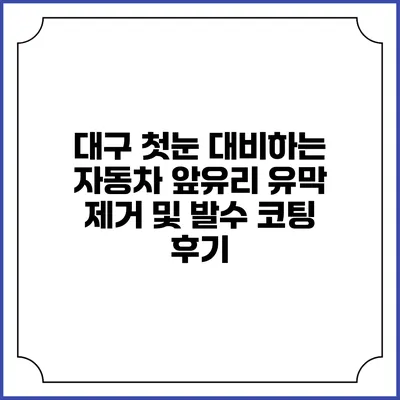 대구 첫눈 대비하는 자동차 앞유리 유막 제거 및 발수 코팅 후기