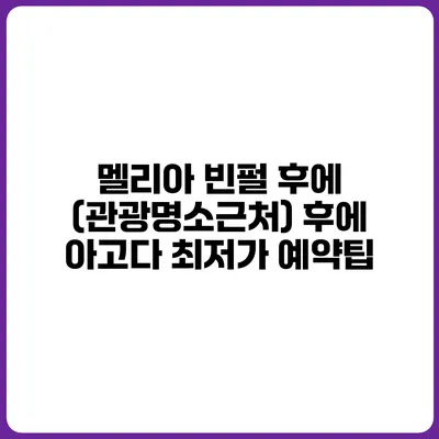 멜리아 빈펄 후에 (관광명소근처) 후에 아고다 최저가 예약팁