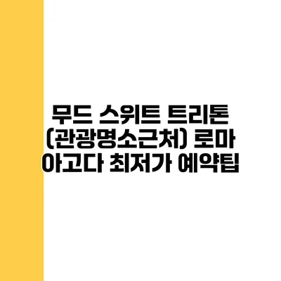 무드 스위트 트리톤 (관광명소근처) 로마 아고다 최저가 예약팁