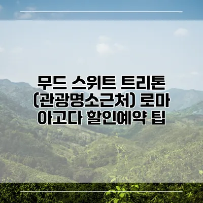 무드 스위트 트리톤 (관광명소근처) 로마 아고다 할인예약 팁
