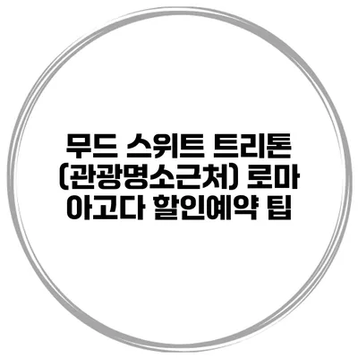 무드 스위트 트리톤 (관광명소근처) 로마 아고다 할인예약 팁