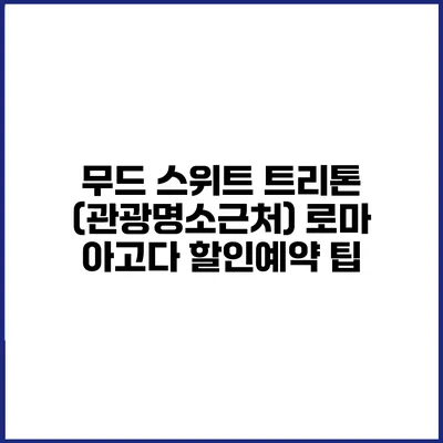 무드 스위트 트리톤 (관광명소근처) 로마 아고다 할인예약 팁