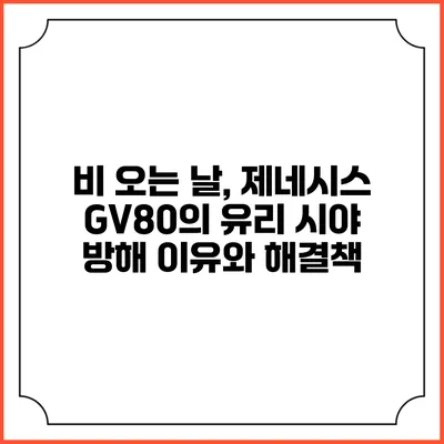비 오는 날, 제네시스 GV80의 유리 시야 방해 이유와 해결책