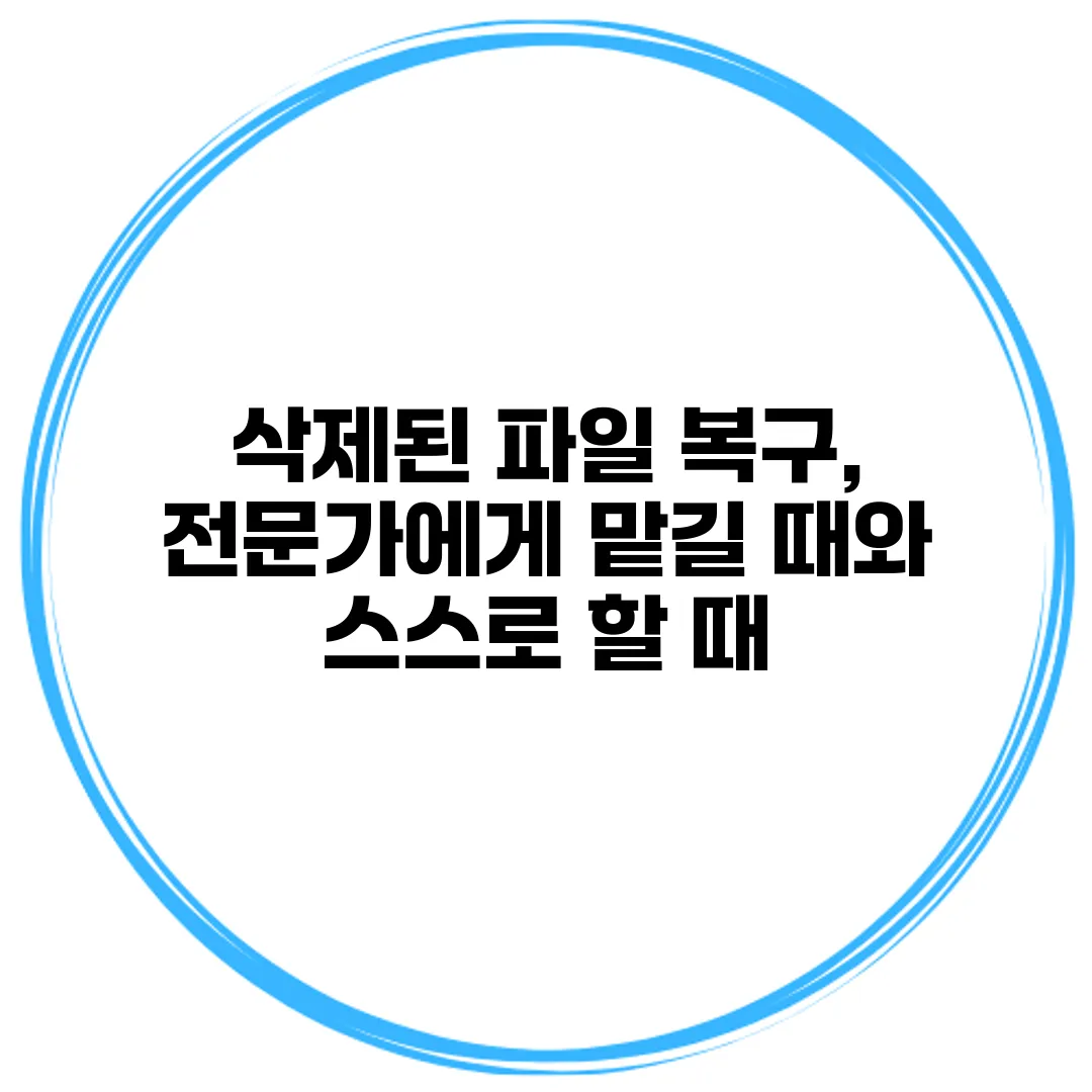 삭제된 파일 복구, 전문가에게 맡길 때와 스스로 할 때