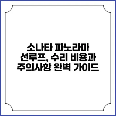소나타 파노라마 선루프, 수리 비용과 주의사항 완벽 가이드