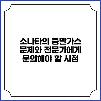 소나타의 증발가스 문제와 전문가에게 문의해야 할 시점