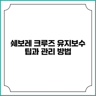 쉐보레 크루즈 유지보수 팁과 관리 방법
