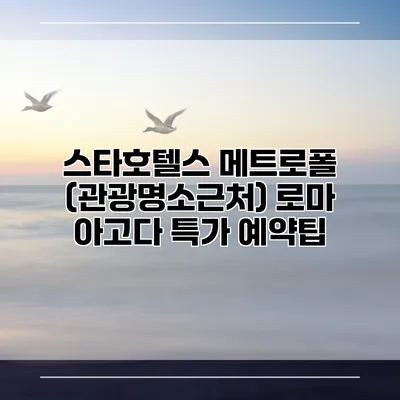 스타호텔스 메트로폴 (관광명소근처) 로마 아고다 특가 예약팁