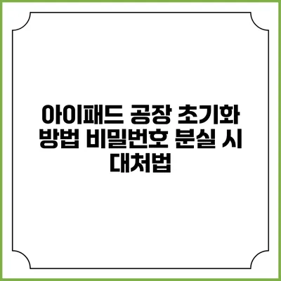 아이패드 공장 초기화 방법 비밀번호 분실 시 대처법