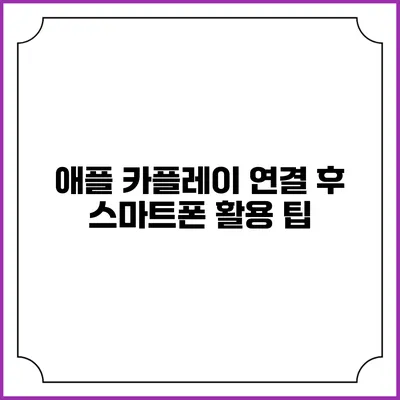 애플 카플레이 연결 후 스마트폰 활용 팁