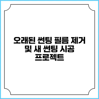 오래된 썬팅 필름 제거 및 새 썬팅 시공 프로젝트