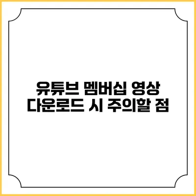 유튜브 멤버십 영상 다운로드 시 주의할 점