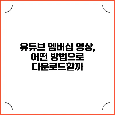 유튜브 멤버십 영상, 어떤 방법으로 다운로드할까?