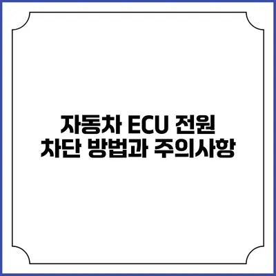 자동차 ECU 전원 차단 방법과 주의사항