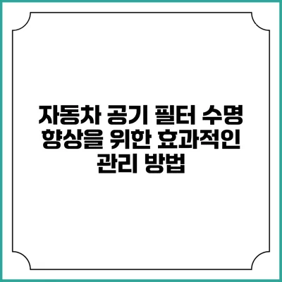 자동차 공기 필터 수명 향상을 위한 효과적인 관리 방법