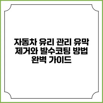 자동차 유리 관리: 유막 제거와 발수코팅 방법 완벽 가이드