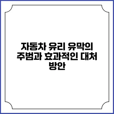 자동차 유리 유막의 주범과 효과적인 대처 방안