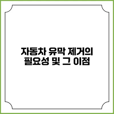 자동차 유막 제거의 필요성 및 그 이점