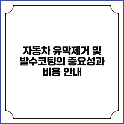 자동차 유막제거 및 발수코팅의 중요성과 비용 안내