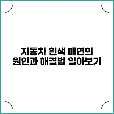 자동차 흰색 매연의 원인과 해결법 알아보기
