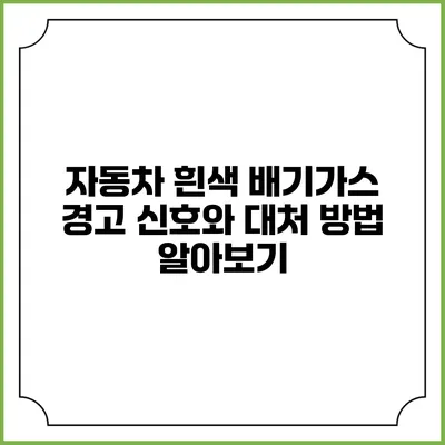 자동차 흰색 배기가스: 경고 신호와 대처 방법 알아보기
