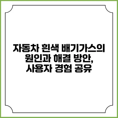 자동차 흰색 배기가스의 원인과 해결 방안, 사용자 경험 공유