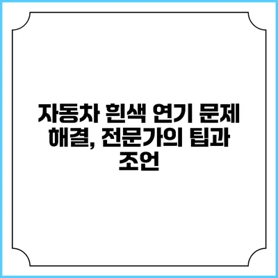 자동차 흰색 연기 문제 해결, 전문가의 팁과 조언