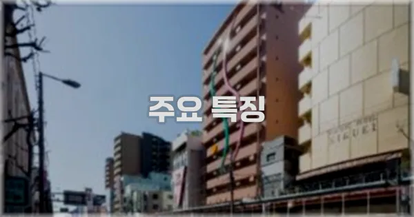 ✨ 주요 특징