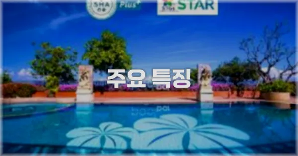 ✨ 주요 특징