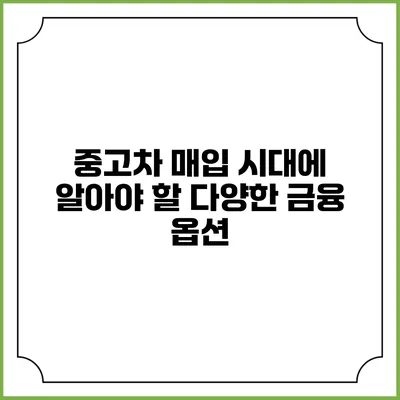 중고차 매입 시대에 알아야 할 다양한 금융 옵션