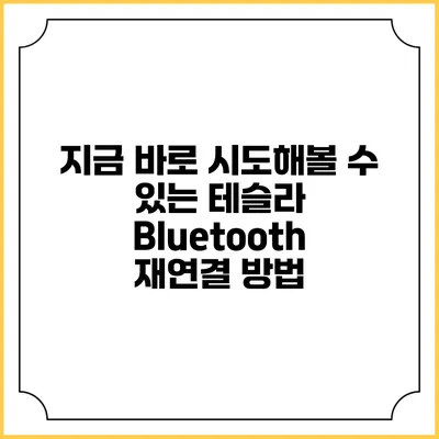 지금 바로 시도해볼 수 있는 테슬라 Bluetooth 재연결 방법
