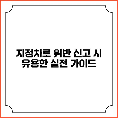지정차로 위반 신고 시 유용한 실전 가이드